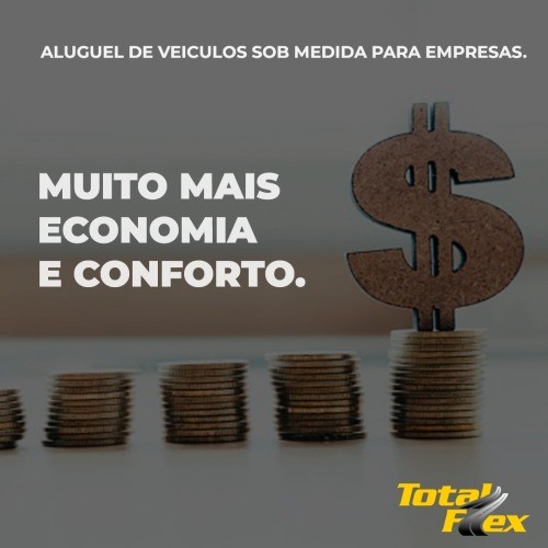 a imagem possui moedas empilhas e grupo e um cifrão atrás