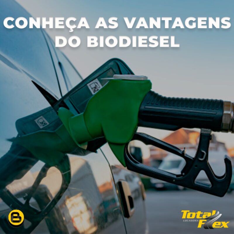 a imagem mostra uma bomba de combustível com entrada em um carro